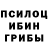 Галлюциногенные грибы прущие грибы Soft Hadul