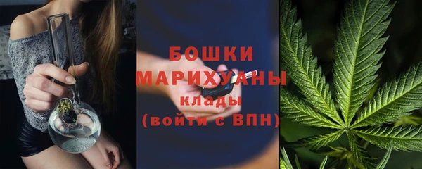 ECSTASY Ладушкин