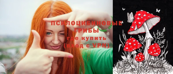 сатива Магас