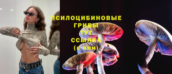 а пвп мука Липки